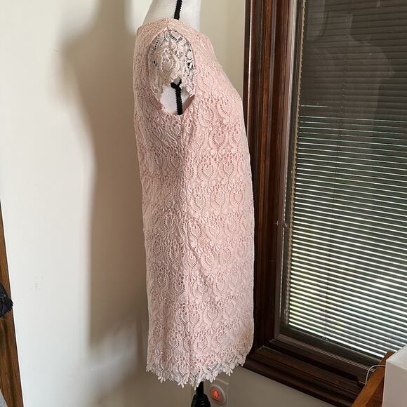 Cynthia Steffe | Reese Cap Sleeve Lace Shift Dress Size 2 - Picture 4 of 15